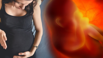 Menstruerer mens du er gravid? Årsager og typer af blødning under graviditet