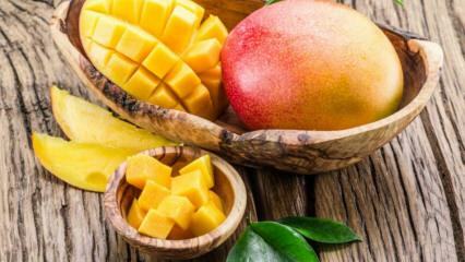 Hvad er fordelene ved Mango? Hvilke sygdomme er mango gode til? Hvad sker der, hvis du spiser regelmæssige mango?