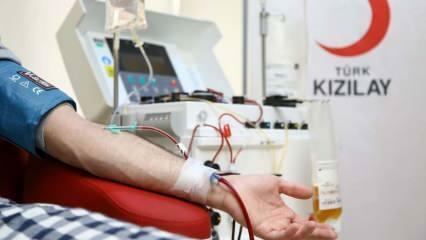 Hvor og hvordan donerer man blod? Hvad er betingelserne for at donere blod