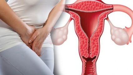 Hvad er livmorstykkets fortykning? Hvor meget skal livmodervægget være under graviditet?