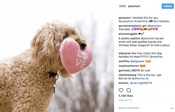 Når PetSmart videredeler brugerbilleder på Instagram, giver de fotokredit til den originale plakat i billedteksten.
