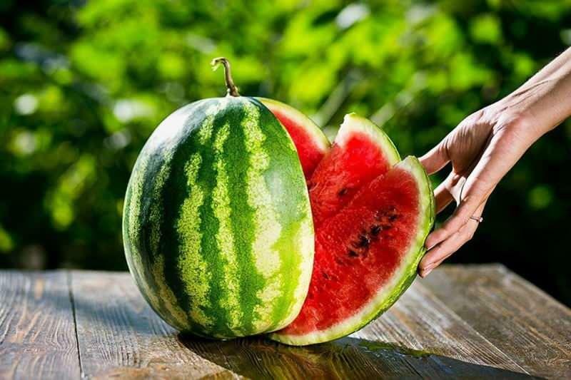 hvordan man vælger vandmelon
