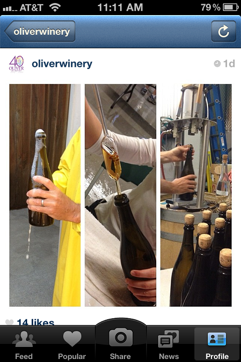 oliver vingård