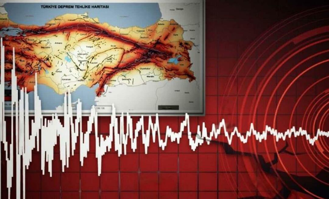 Hvad er jordskælvszonerne i Tyrkiet? Hvordan laver man en fejllinjeforespørgsel?