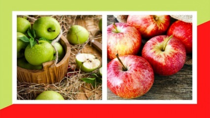 Hvordan laver jeg et sundt vægttab Apple diæt? Slankende med edematøs grøn æble detox
