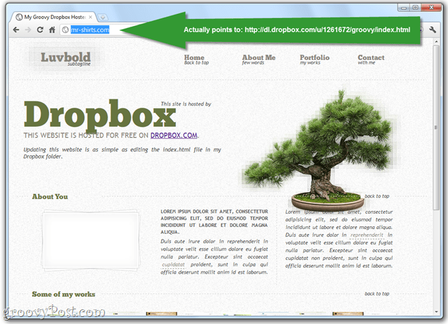 offentliggøre websider via dropbox offentlig mappe