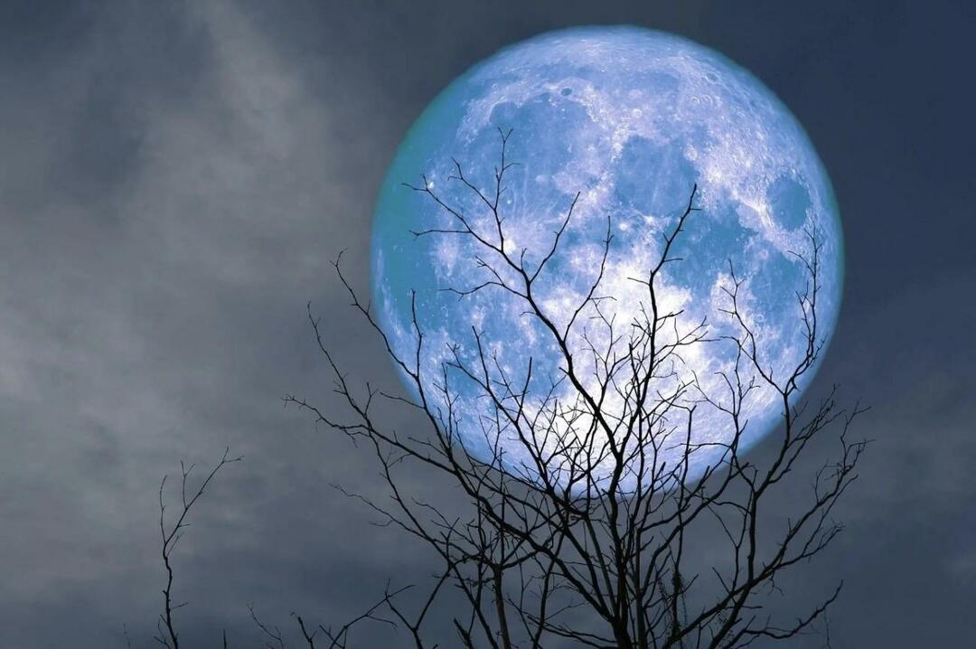 Hvad er en blå måne
