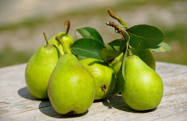 Forhindrer irritation: Hvad er fordelene ved pære? Hvor mange pærer er der? Hvad er pære god til?