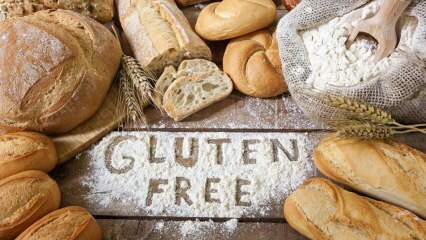 Hvad er en glutenfri diæt, hvordan gøres det? Sund glutenfri diæt