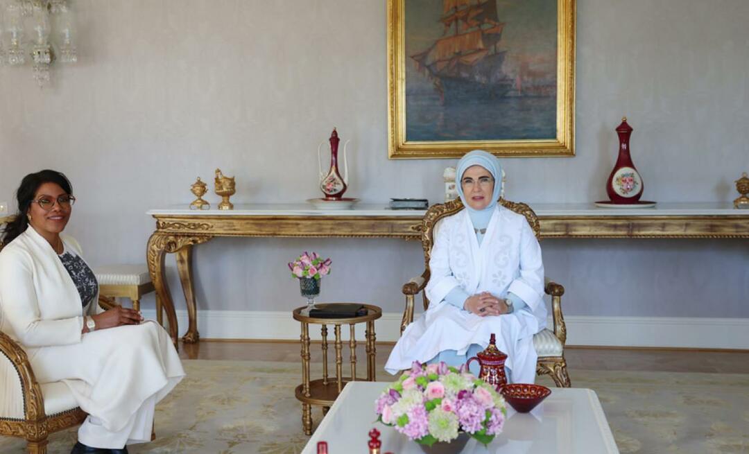 Førstedame Erdoğan mødtes med Malcolm X's datter İlyasa Şahbaz