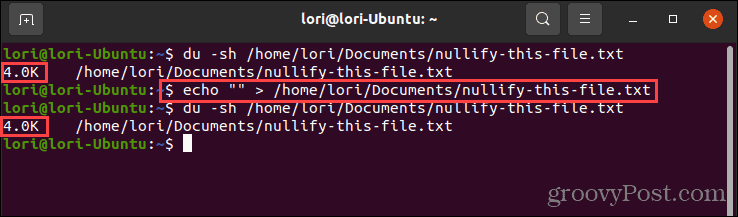 Brug af echo-kommandoen med tomme anførselstegn i Linux