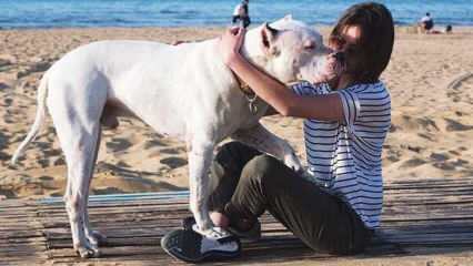 Den unge skuespillerinde Alina Boz farvel til sin døde hund! Hvem er Alina Boz?