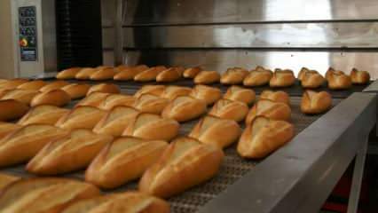 Eksperter advarede: Læg brødene i ovnen på 90 grader i 10 minutter
