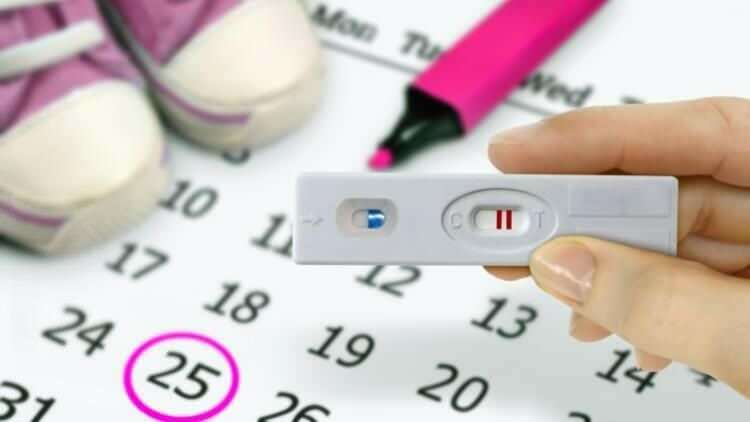 Hvor mange dage efter at menstruationen er forbi? Forholdet mellem menstruation og graviditet