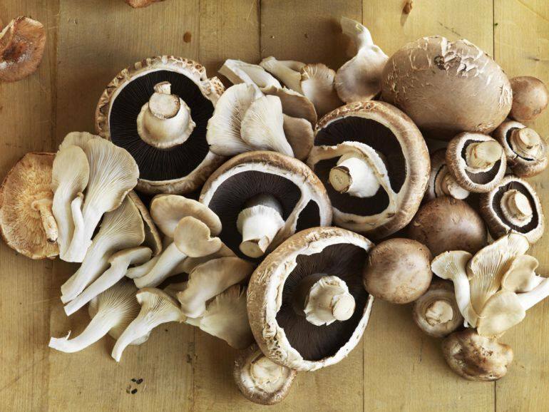 Tricks til at vide, når madlavning svampe