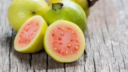 Hvad er guava-frugt? Hvad er fordelene?