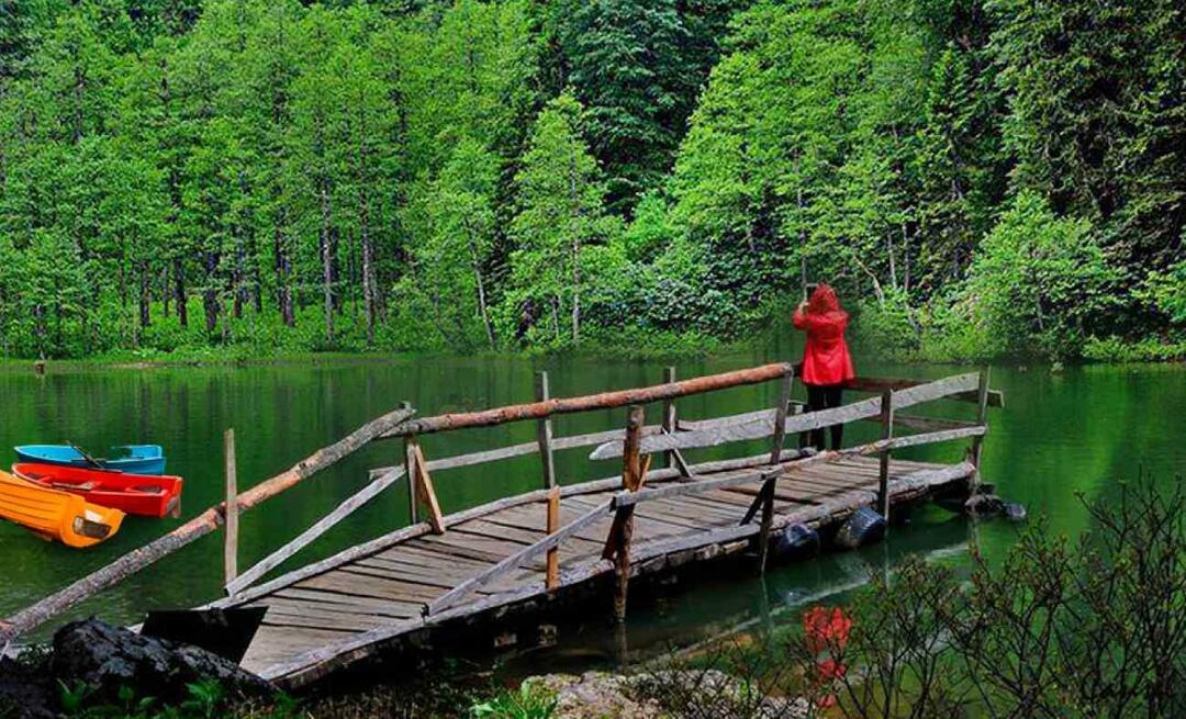 Hvor er Artvin? Hvor skal man hen i Artvin? Hvilke steder skal jeg besøge i Artvin?