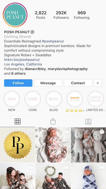 eksempel på Instagram-bio optimeret til forretning