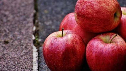 Hvad er fordelene ved at indtage æbler under graviditet?