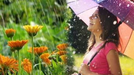 Er helbredelsen af ​​aprilregn? Hvad er de bønner, der skal læses i regnvandet? Fordele ved aprilregn
