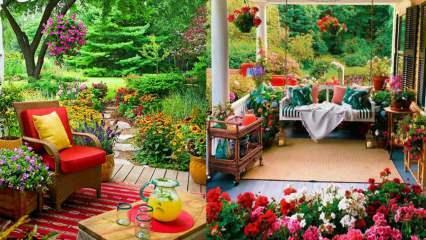 Blomster, som du kan bruge i din have og altaner om efteråret!