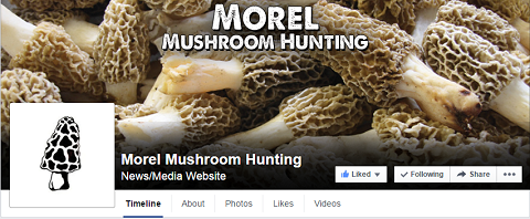 Morel Mushroom Jagt