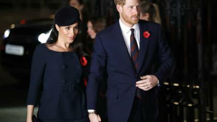Prins Harry har spildt ud! 'Det kongelige liv er som en zoologisk have'