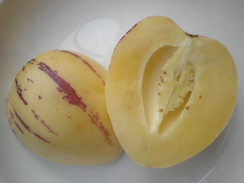pepino frugt er skåret som en melon som et billede