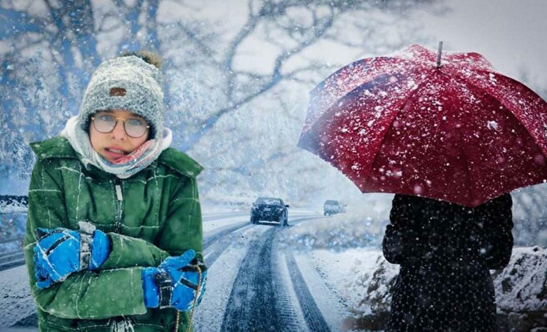 Hvad er La Nina vinter? Hvornår begynder La Nina-vinteren? Hvornår vil det sne?