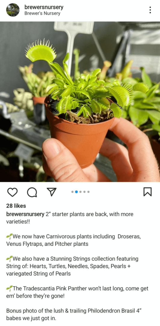 billede af Instagram feed-indlæg, der viser et produkt