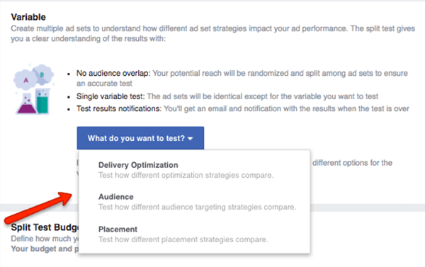 Vælg hvilken variabel du vil teste i din Facebook-kampagne.