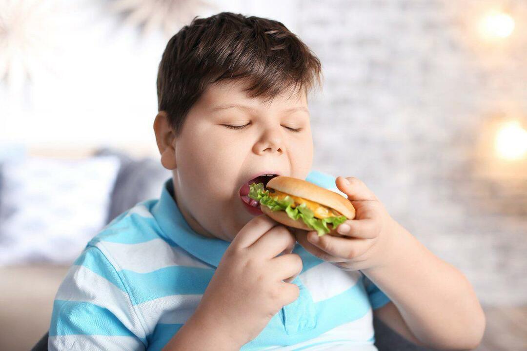 Hvad er fedme hos børn