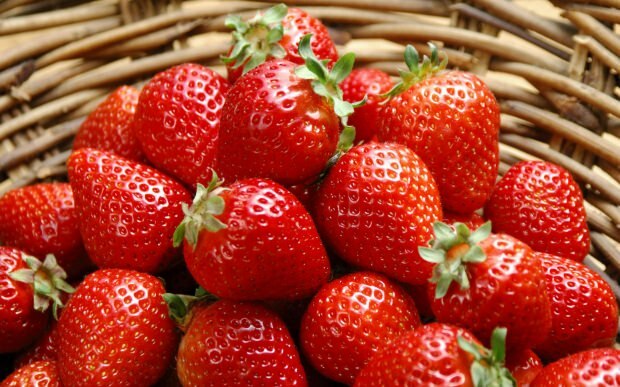 Ukendte fordele ved jordbær på huden! Hvordan påføres jordbærolie på huden? Hudpleje med jordbær ...
