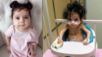 SMA-patient lille Öykü har 47 dage tilbage til behandling!
