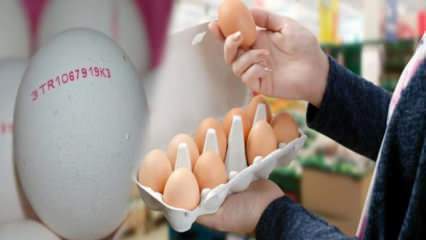 Hvordan forstås organisk æg? Hvad betyder æggets koder?