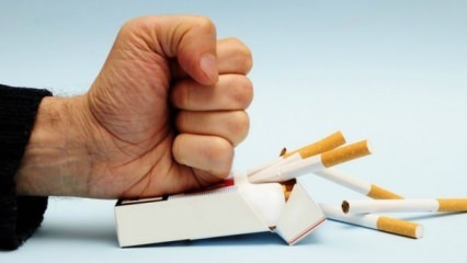 Effekter af at holde op med at ryge på kroppen! Hvad sker der i kroppen, når du holder op med at ryge?