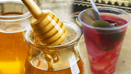 Det mest naturlige probiotiske: Hvad er fordelene ved syltet vand? Tilsæt honning i saltvand og ...