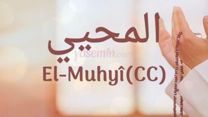 Hvad betyder al-muhyi (cc)? I hvilke vers er al-Muhyi nævnt?