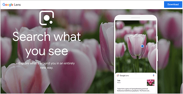 Dette er et screenshot af Google Lens-webstedet. En hvid bjælke vises øverst på hjemmesiden. Til venstre er navnet Google Lens. Til højre er der en blå Download-knap. Webstedets hovedområde har en fotobaggrund, der viser blomstringen af ​​lyserøde lyserøde tulipaner. Til venstre over baggrundsbilledet vises et hvidt Google Lens-logo sammen med følgende tekst: "Søg efter hvad du ser" og "Udforsk hvad der er omkring dig på en helt ny måde". Til højre viser en simulering af en smartphone, at Google Lens-appen identificerer en tulipan. Mike Rhodes siger, at Google Lens er et eksempel på kunstig intelligens.