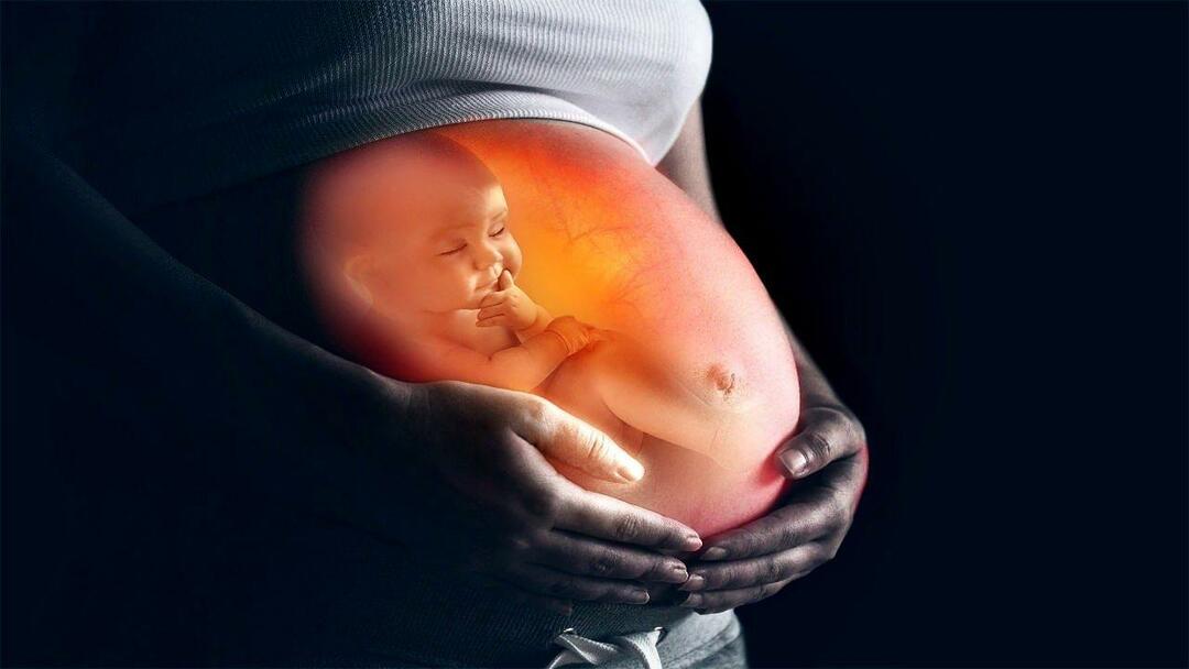 Sådan fodrer du barnet i maven fra moderen
