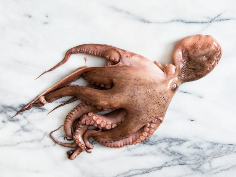 Hvordan rengøres og koges blæksprutte derhjemme? Den letteste octopus madlavningsteknik