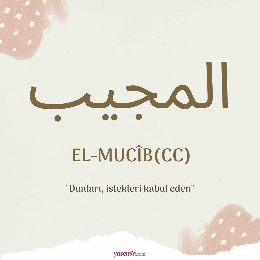 Hvad betyder al-Mujib (cc)?