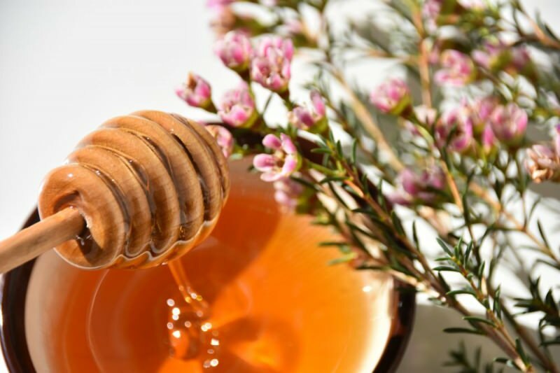 manuka honning lavet af manuka blomst