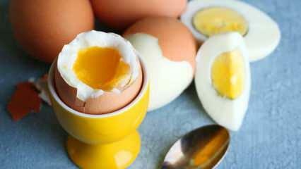 Hvad er virkningerne af at spise 2 æg i sahur hver dag på kroppen?