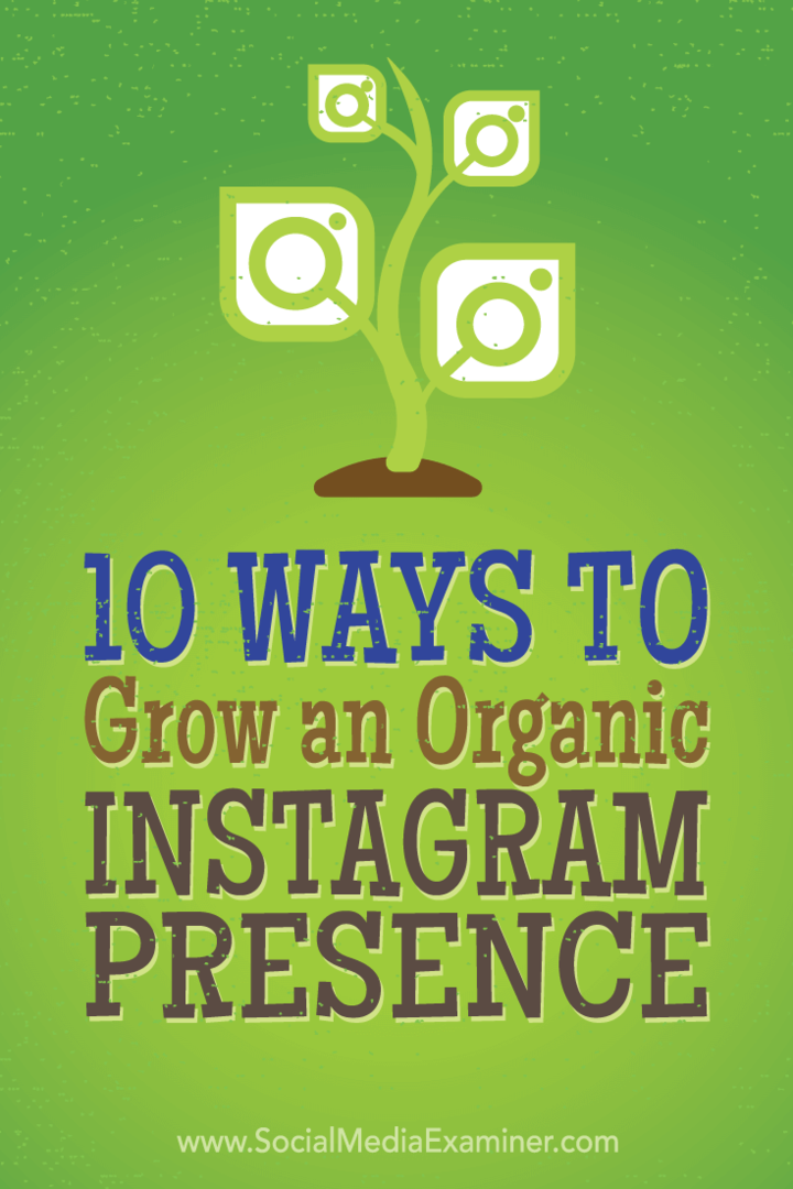 Tips til 10 taktikker, som de bedste marketingfolk har brugt til organisk at få flere Instagram-tilhængere.