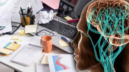 Hvad er diffust hjerne syndrom, hvad er symptomerne? Hvem får spredt hjerne syndrom? 