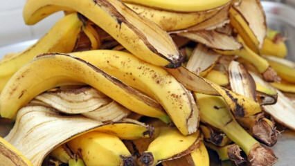 Hvad er fordelene ved banan? Hvor mange bananer er der? Ukendte anvendelser af bananskræ! 