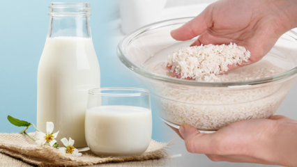 Hvordan tilberedes fedtforbrændende rismælk? Slankemetode med rismælk
