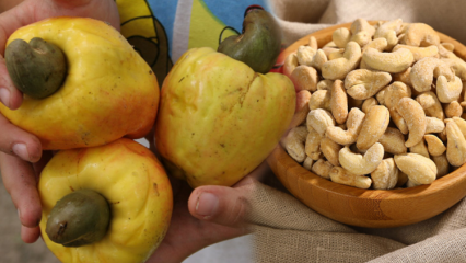 Hvad er fordelene ved cashewnødder? Ting at vide om cashewnødder, der positivt påvirker øjenes sundhed ...