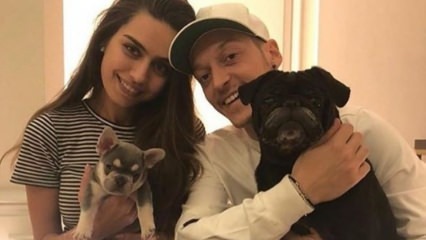 Mesut Özil fejrer sin forlovede Amine Gülşes fødselsdag